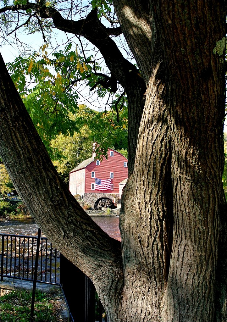 Red Mill District
