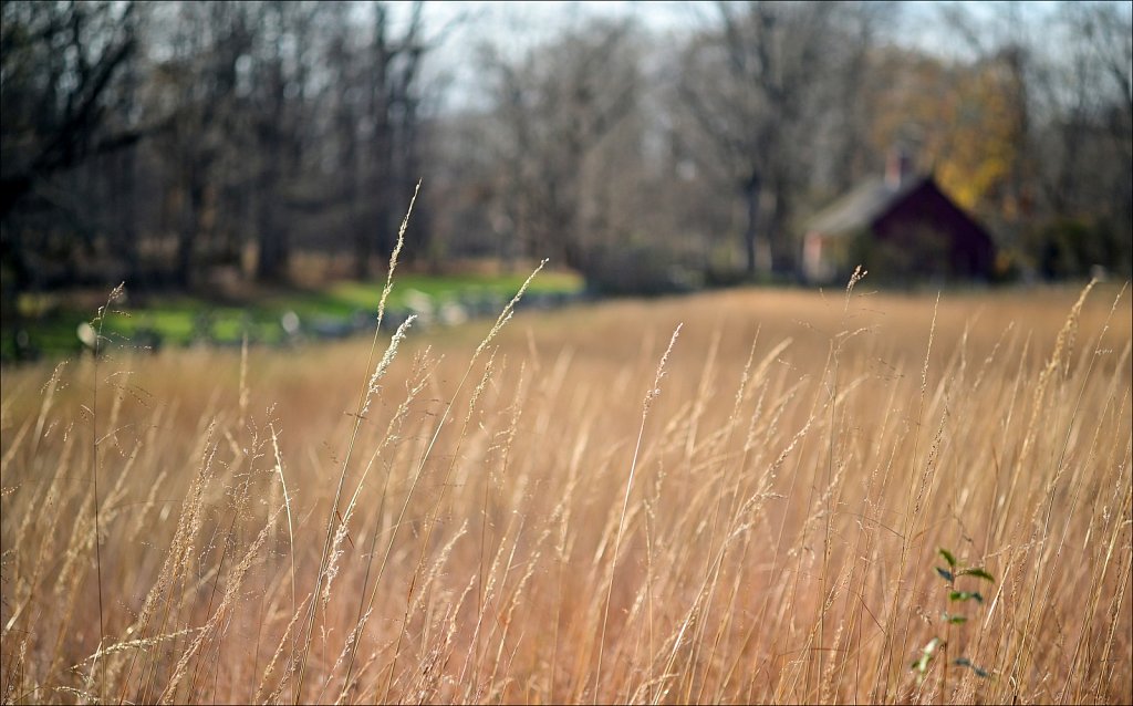 Jockey Hollow