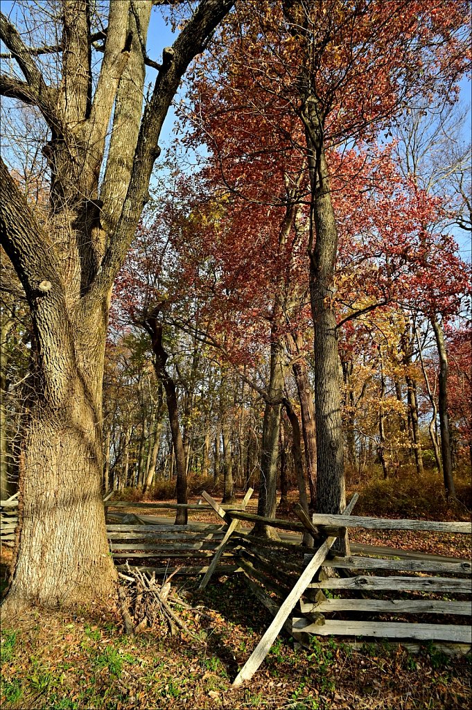 Jockey Hollow