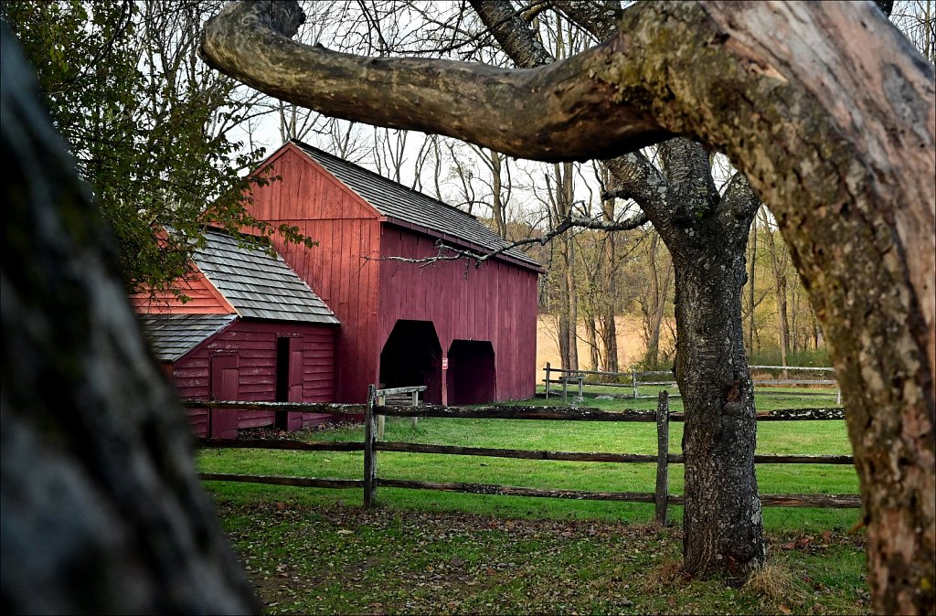 Jockey Hollow