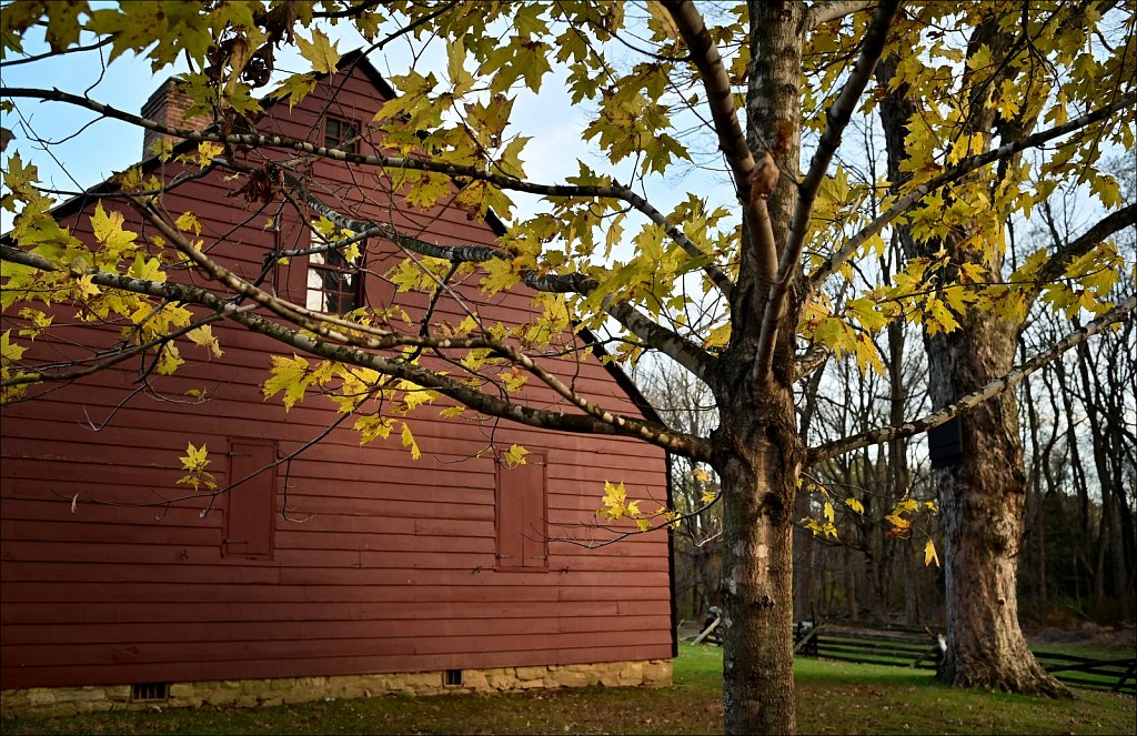 Jockey Hollow