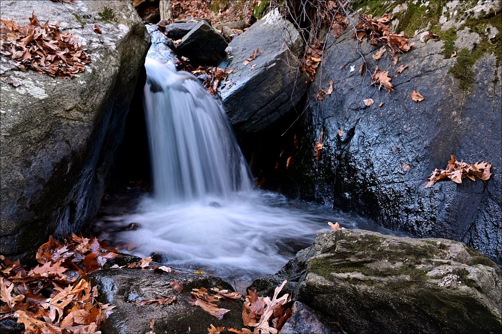 Hedden County Park