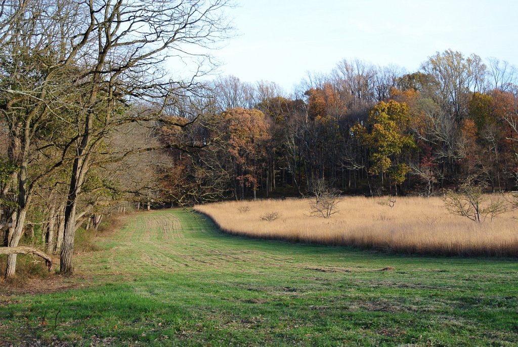 Jockey Hollow