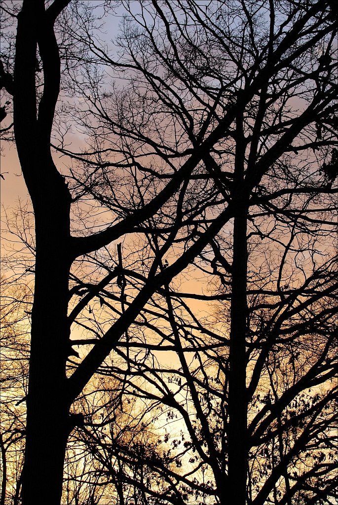 Mount Olive Sunrise