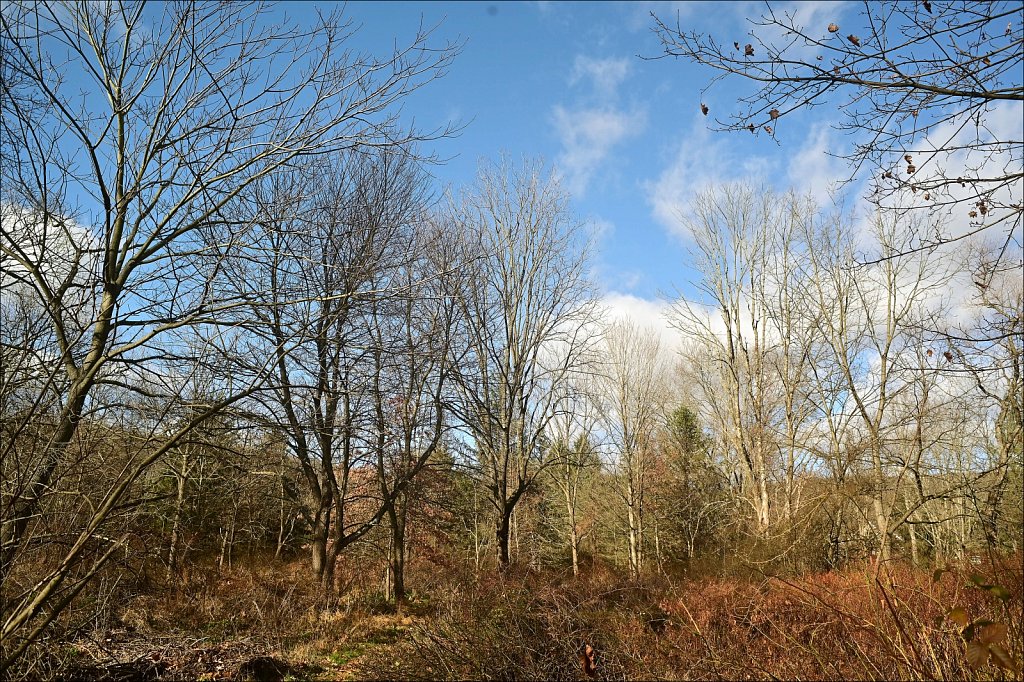 Along The Columbia Trail