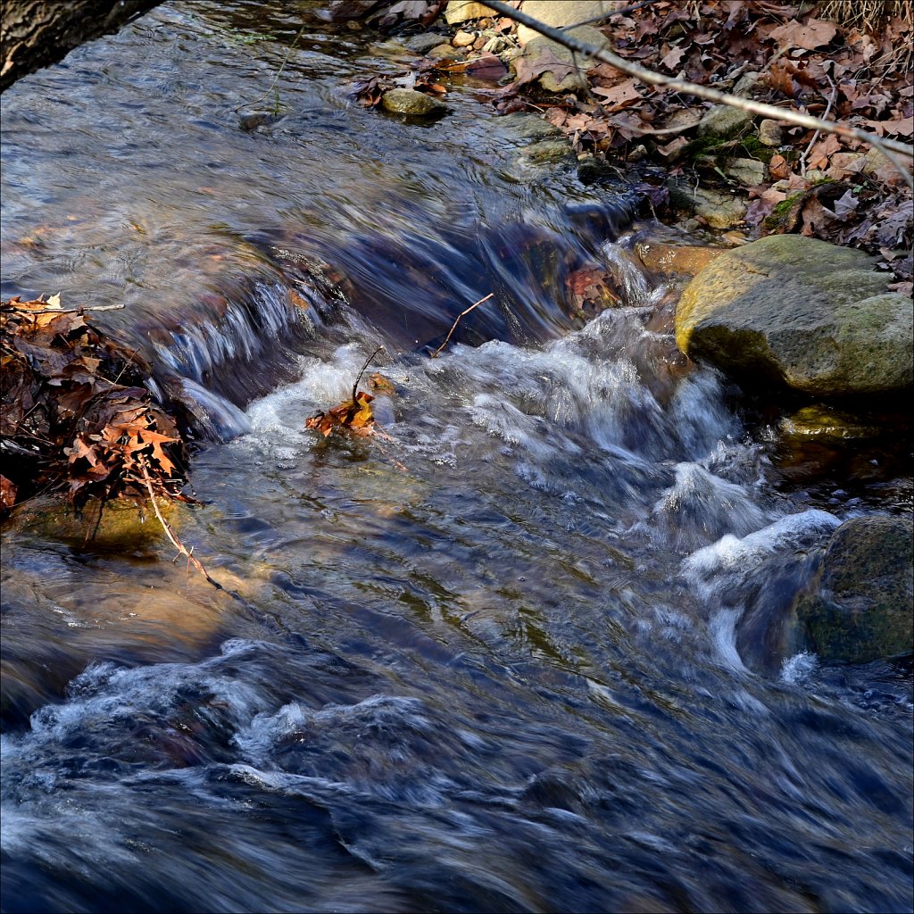 Along The Columbia Trail