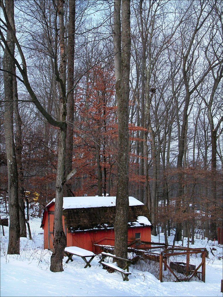 DSCN1560.jpg