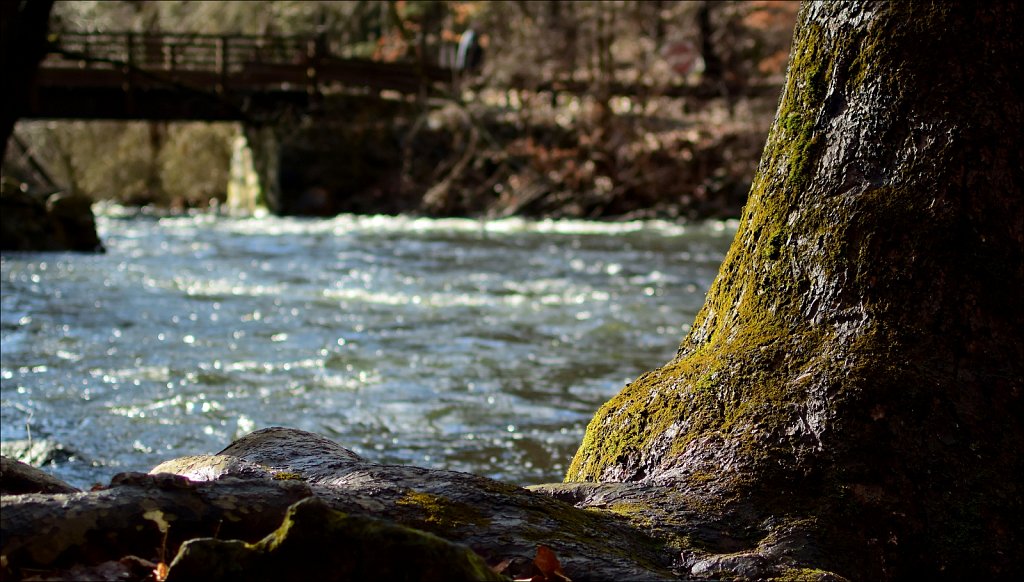 Stephens State Park