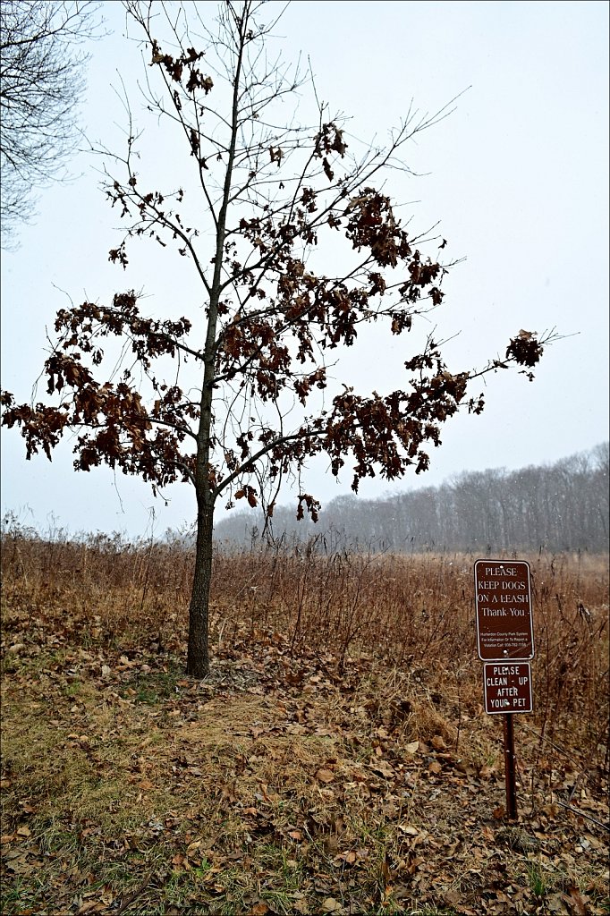 Mountain Farm Pond