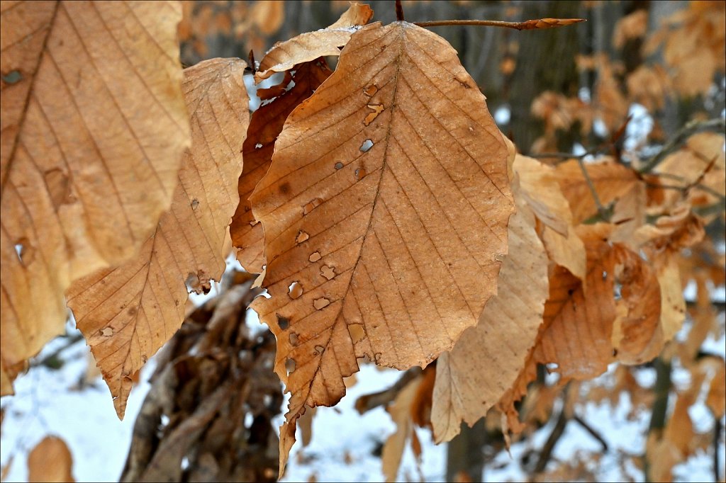 Allamuchy Mountain State Park 