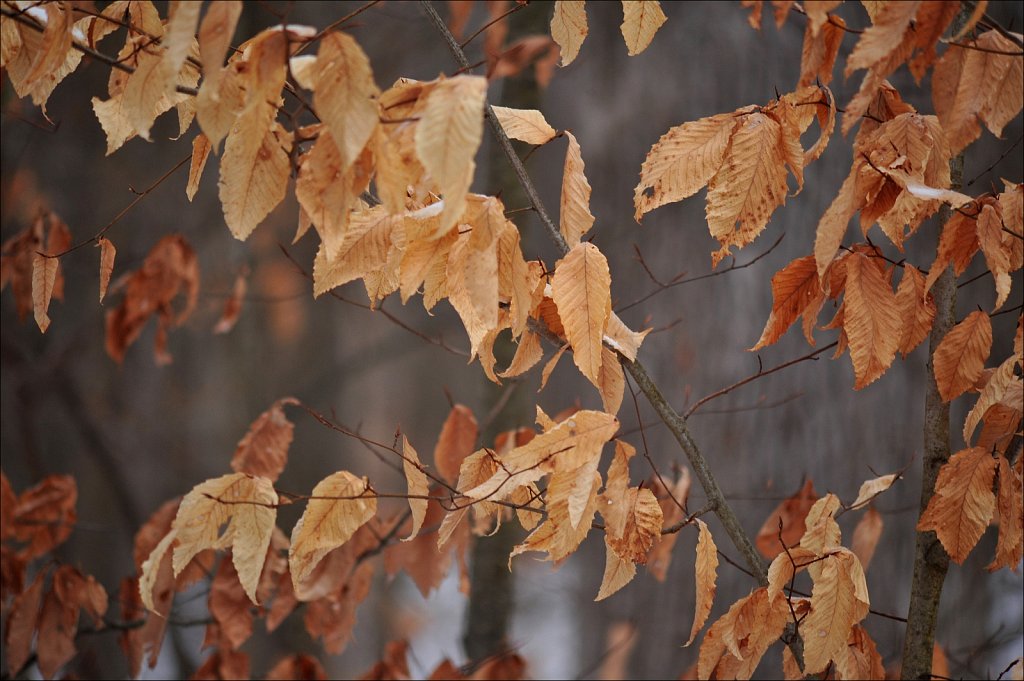 Allamuchy Mountain State Park 