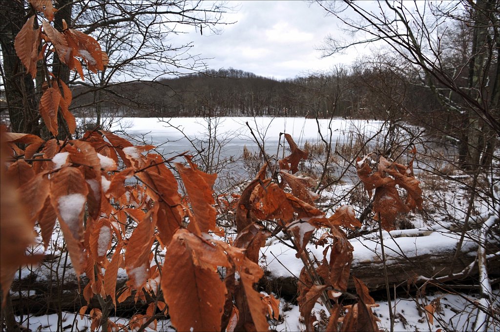 Allamuchy Mountain State Park 