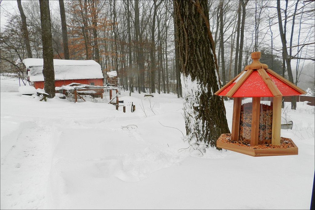 Deep Snow - The Storm of "21