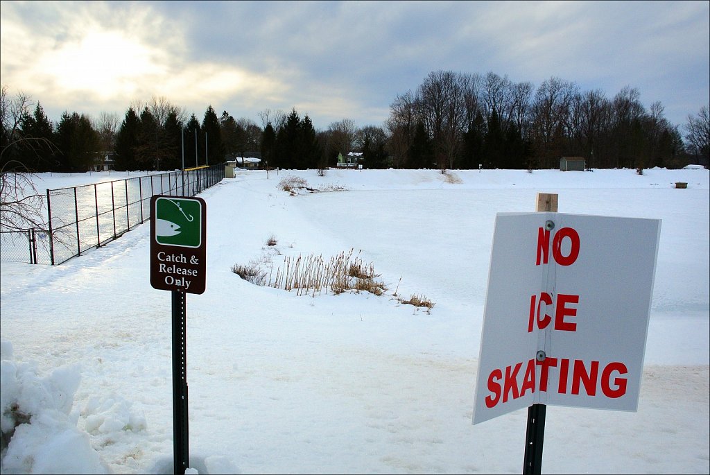 Turkey Brook Park Under Snow