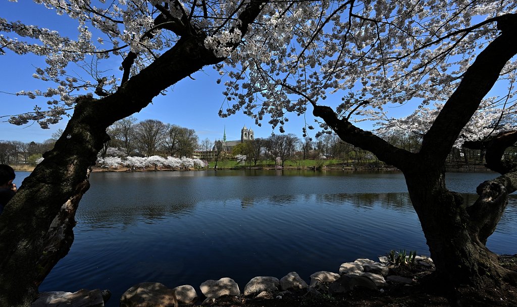 Branch Brook Park