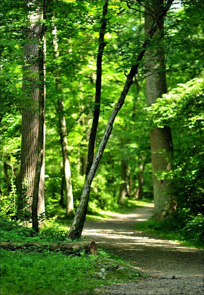 Stephen State Park