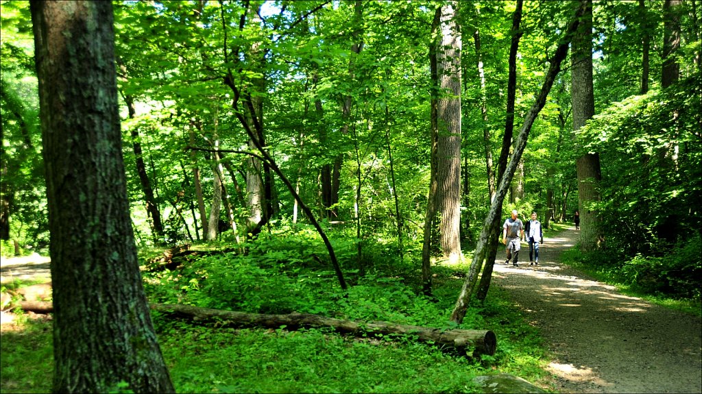 Stephen State Park