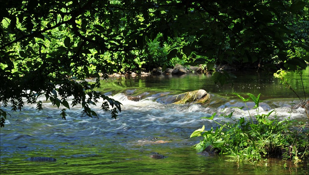 Stephen State Park