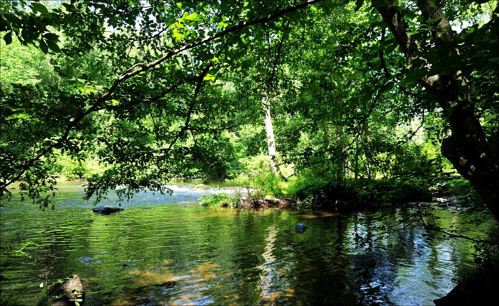 Stephen State Park