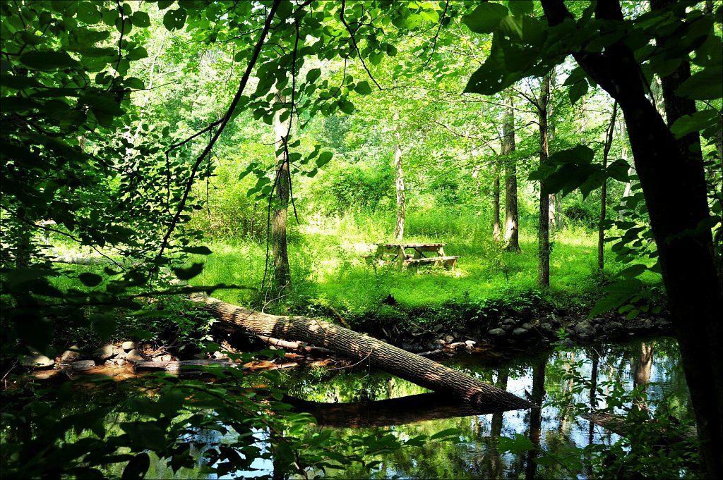 Stephen State Park