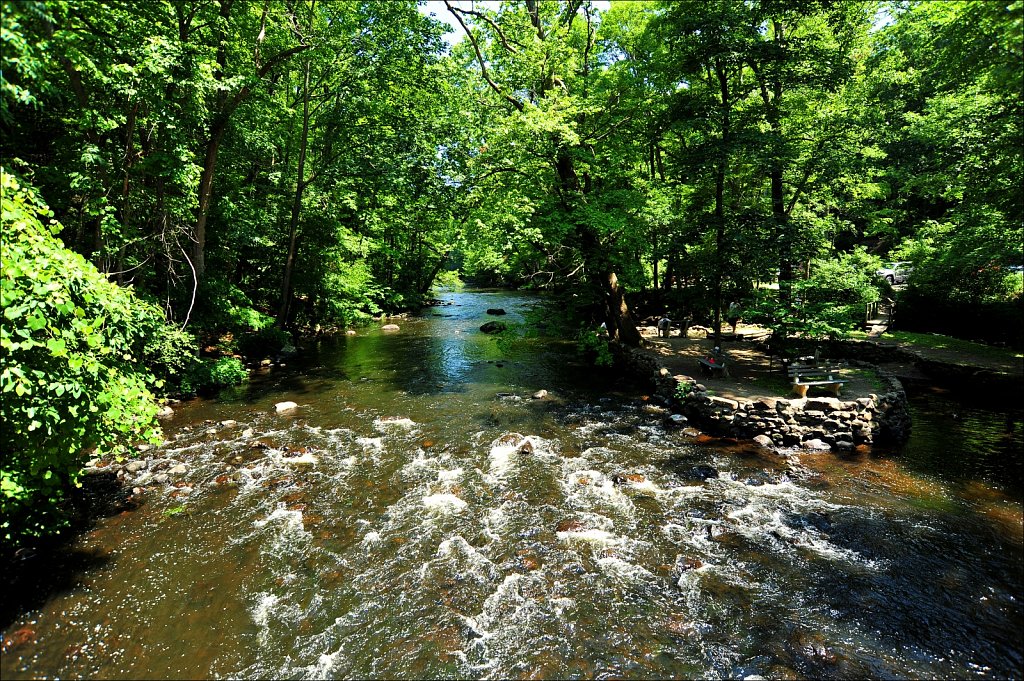 Stephen State Park