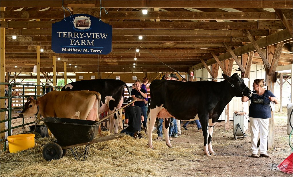 2021 Delaware County Fair