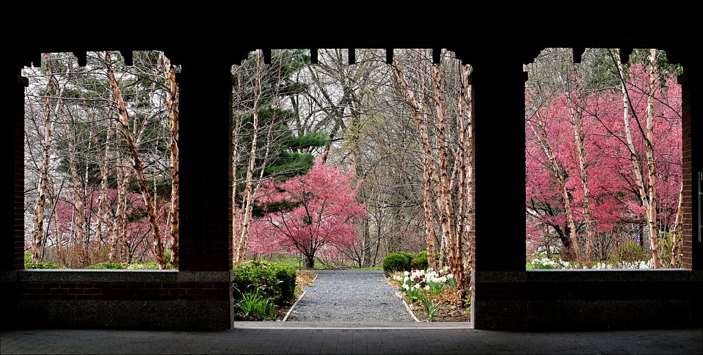 Branch Brook Park