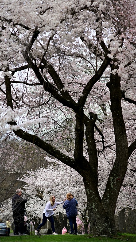 Branch Brook Park