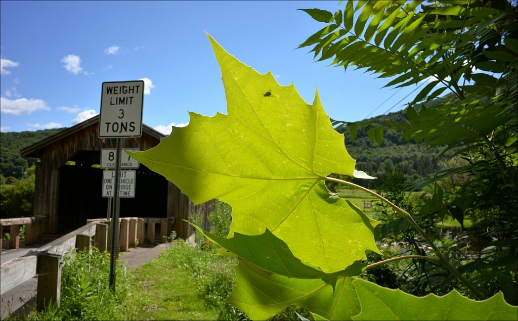 Hamden Covered Bridge