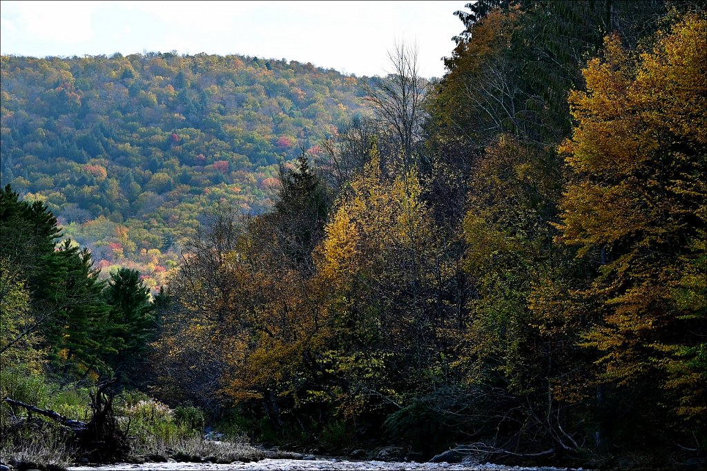 Beaver kill Covered Bridge