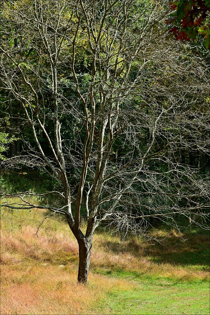 Schooley's Mountain Park