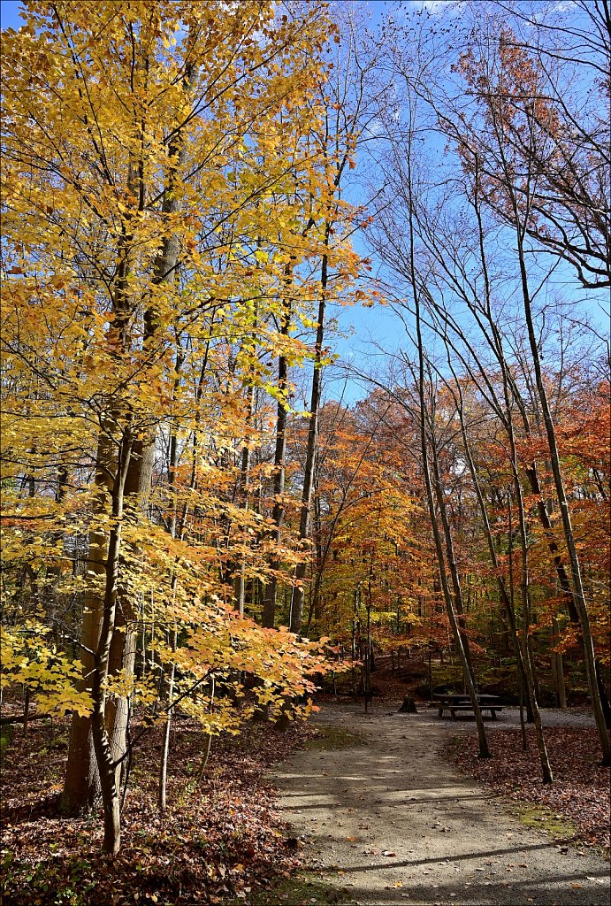 Hedden Park