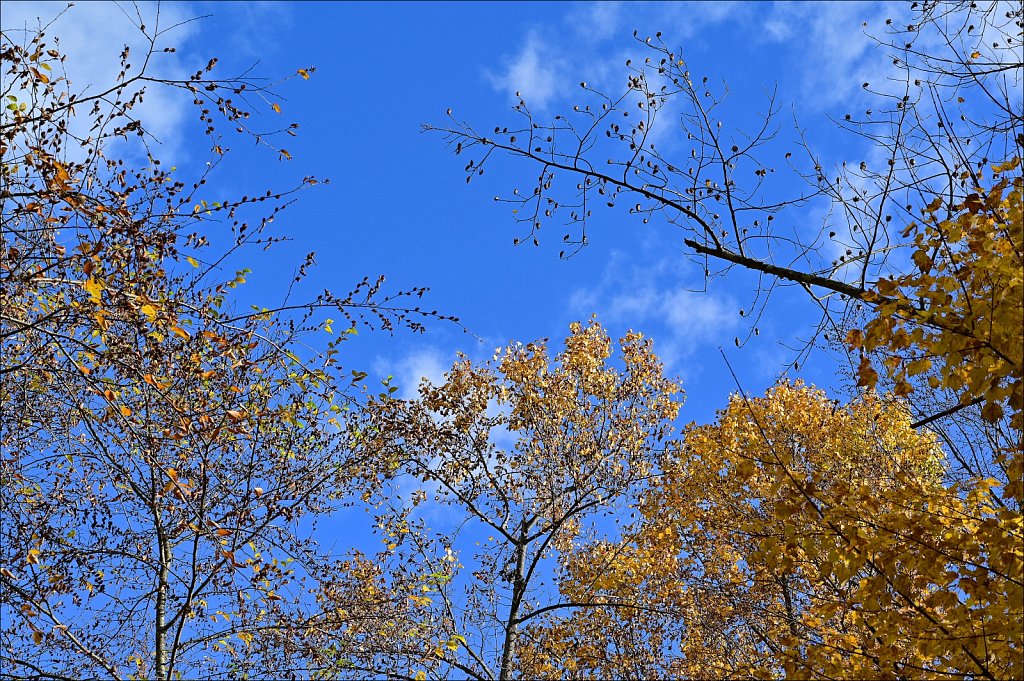 Hedden Park