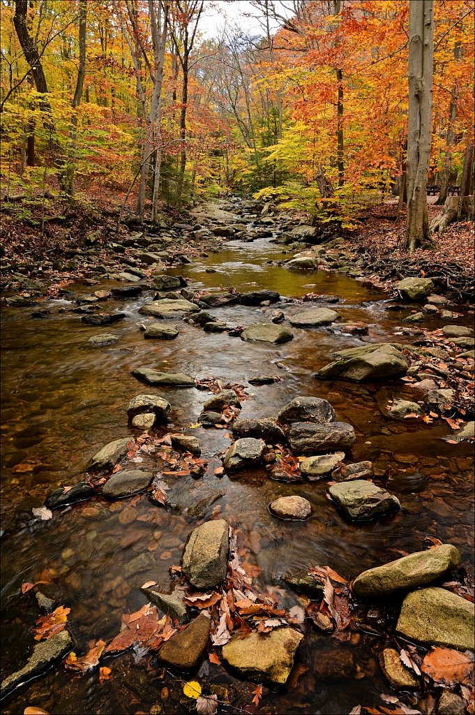 Hedden Park