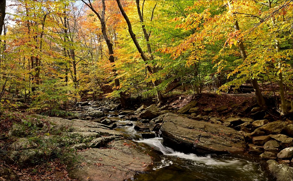 Hedden Park