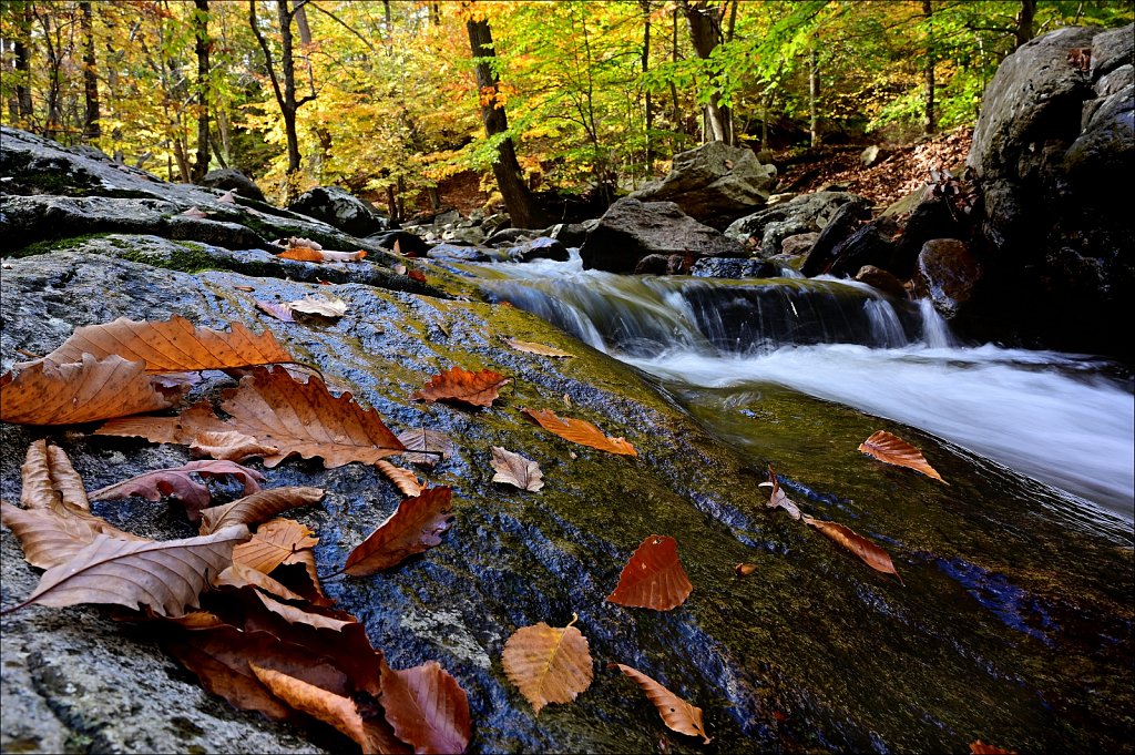 Hedden Park