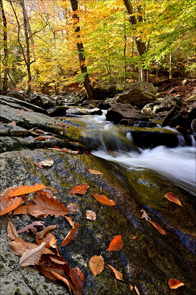 Hedden Park