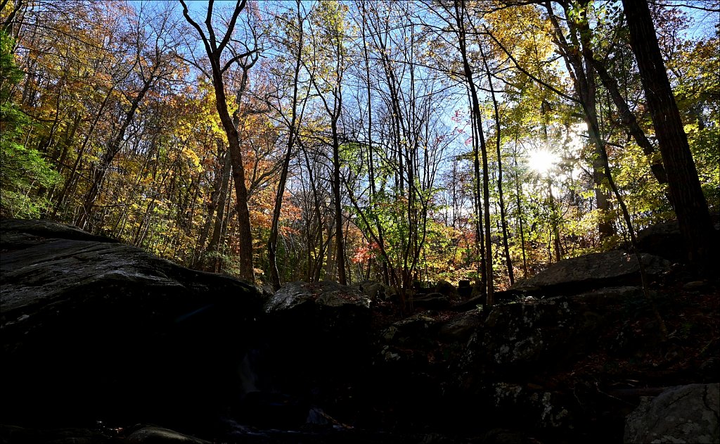 Hedden Park