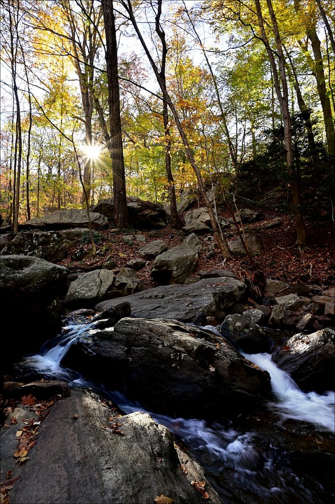 Hedden Park