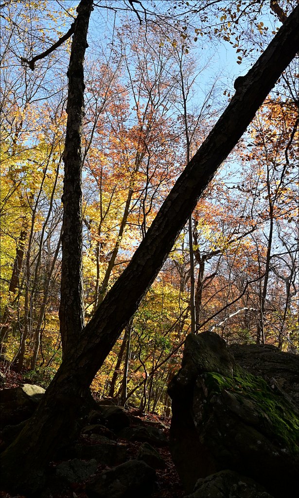 Hedden Park