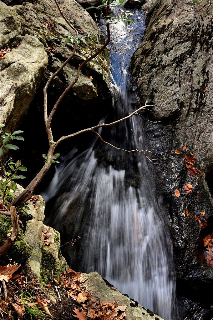 Hedden Park