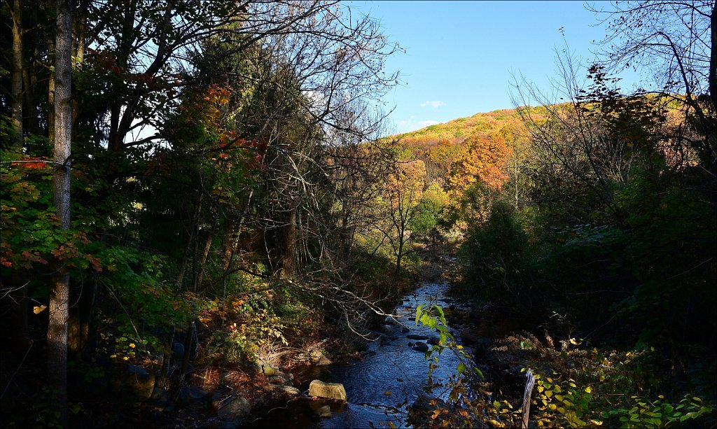 Hedden Park