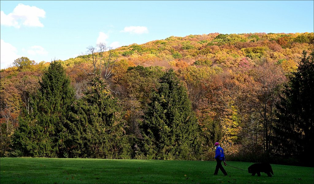 Hedden Park