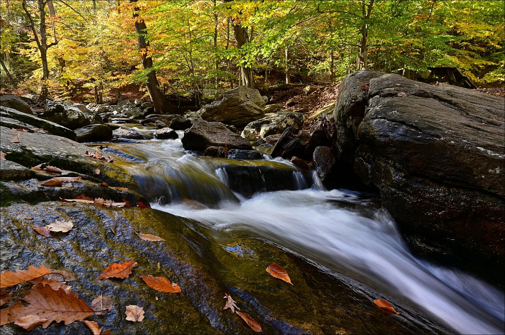 Hedden Park