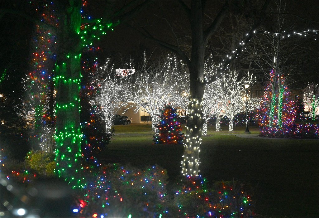 Woodland-Pk-Christmas-Display-7605-copy.jpg