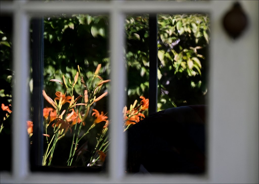 Pane of Reflections