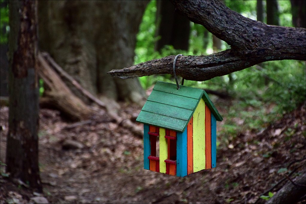 Gnome Houses