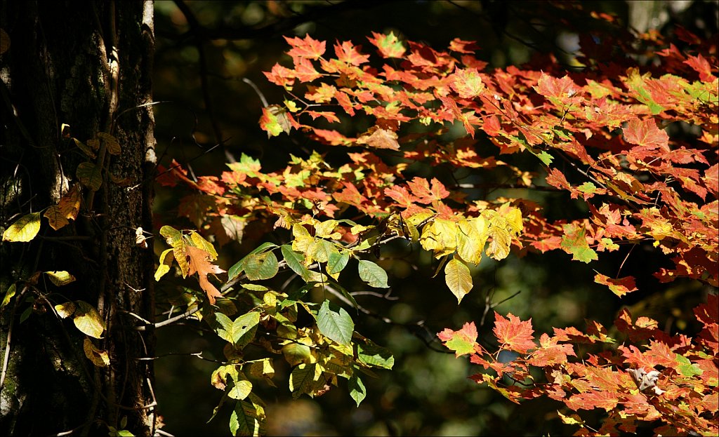 Autumn 2022