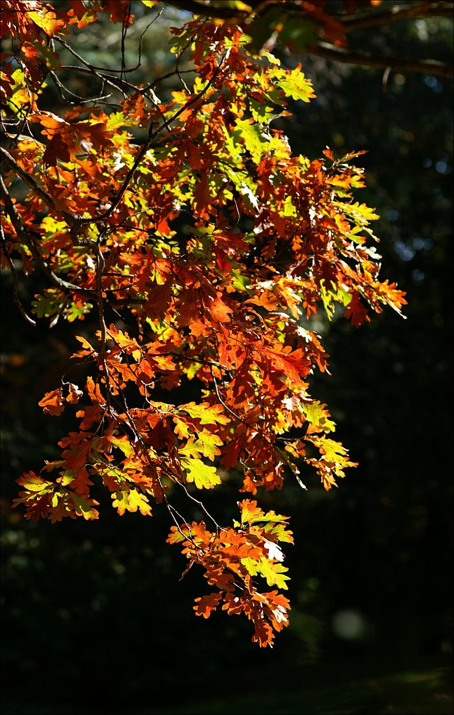 Autumn 2022