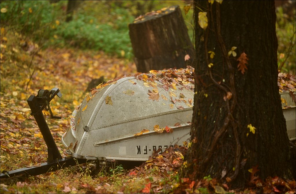 Autumn 2022